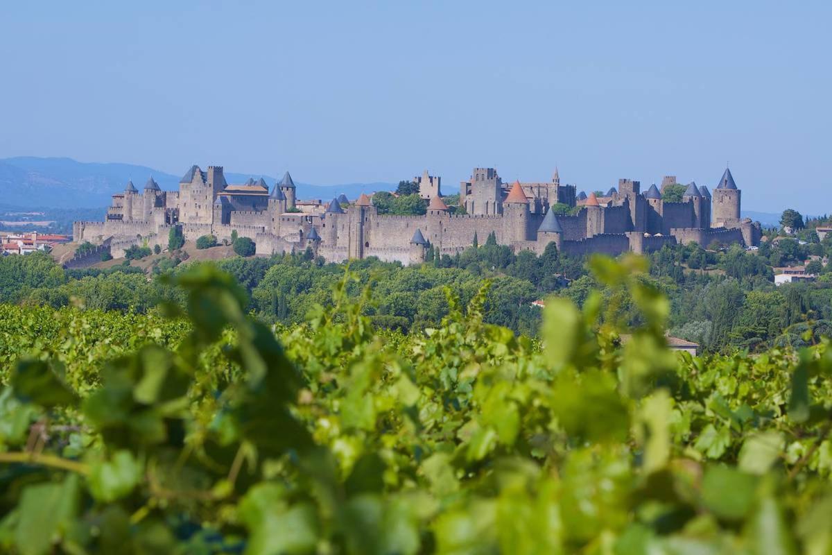 Tout Confort ! Climatisation, Calme, Piscine, Parking Gratuit, Terrasse, Wifi Apartamento Carcassonne Exterior foto