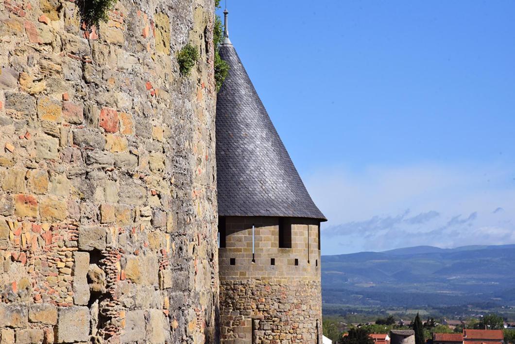 Tout Confort ! Climatisation, Calme, Piscine, Parking Gratuit, Terrasse, Wifi Apartamento Carcassonne Exterior foto