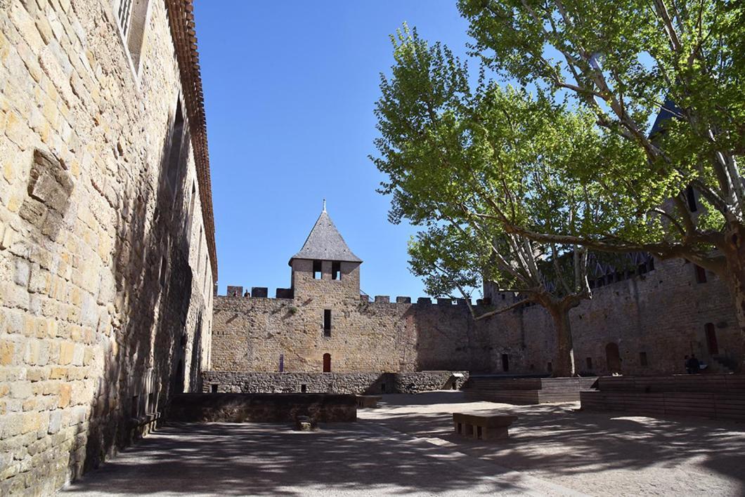 Tout Confort ! Climatisation, Calme, Piscine, Parking Gratuit, Terrasse, Wifi Carcassonne Exterior foto